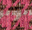 Pink Houndstooth