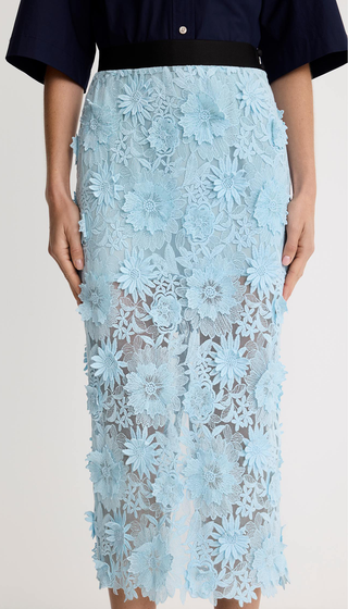 Applique Pencil Skirt