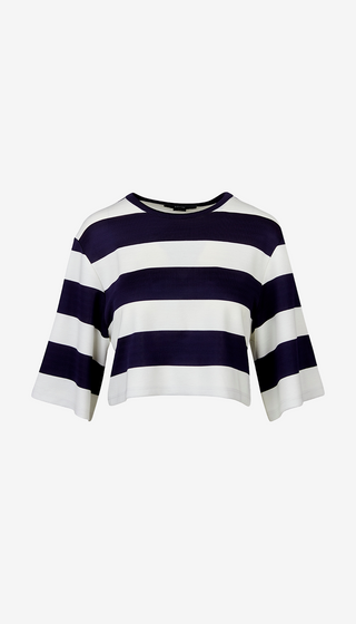 Navy and white striped sweater on a white background